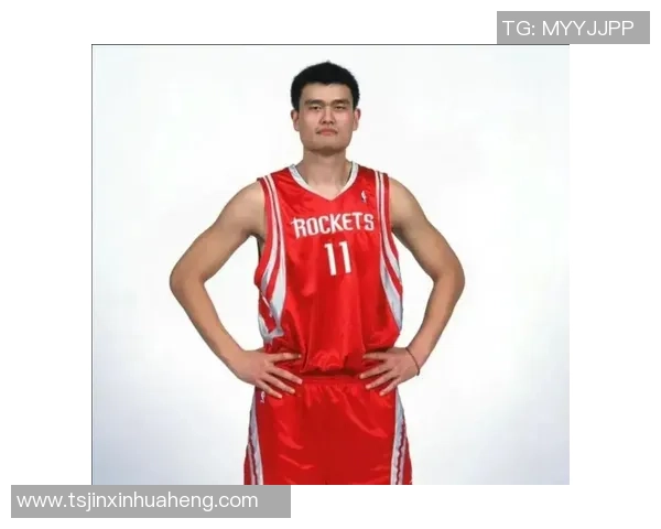 姚明助攻如影随形震撼全场的篮球传奇瞬间